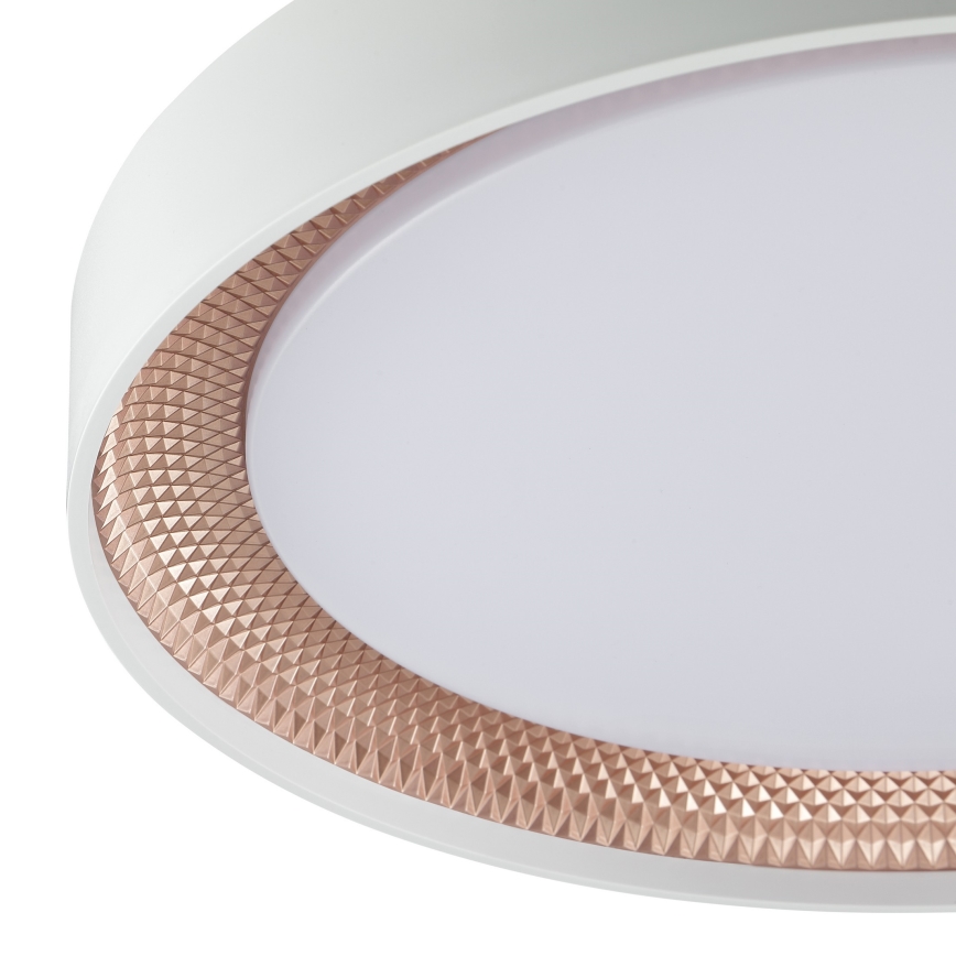 Brilliant - Luminária de teto LED dimerizável WALDO LED/24W/230V 3000-6500K Ø 38,5 cm branco/ouro rosé + controlo remoto