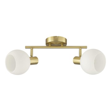 Brilliant - Spot CONY 2xE14/20W/230V latão