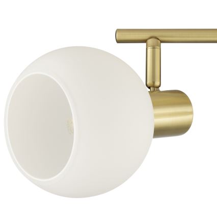 Brilliant - Spot CONY 2xE14/20W/230V latão