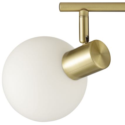 Brilliant - Spot CONY 2xE14/20W/230V latão