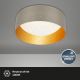 Brilo 3482-011 - Iluminação de teto LED MAILA STARRY LED/12W/230V castanho/dourado
