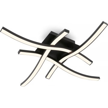 Brilo 3677-045 - Plafon LED/14,4W/230V preto