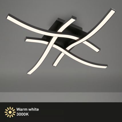 Brilo 3677-045 - Plafon LED/14,4W/230V preto