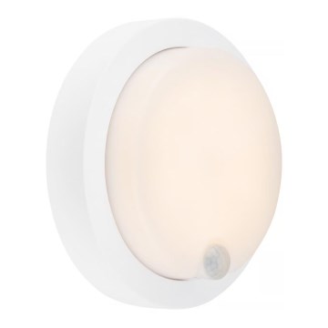 Brilo - Aplique de parede LED recarregável para exterior com sensor LED/4W/5V 4400 mAh IP44 branco