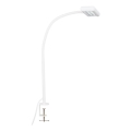 Brilo - Candeeiro de mesa LED Flexível com clipe TRASNA LED/7,5W/230V branco