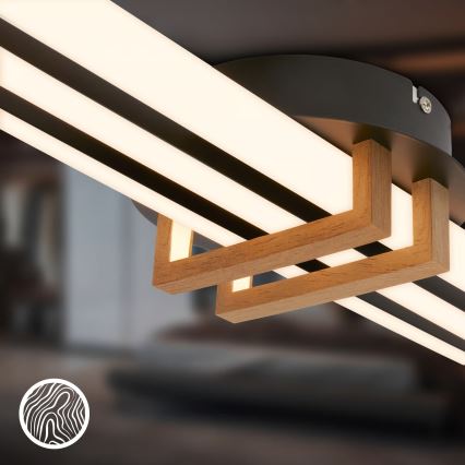 Brilo - Candeeiro de teto LED TINKA LED/30W/230V 3000K, preto