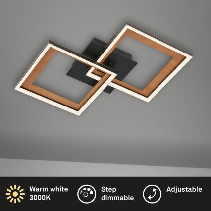 Brilo - Candelabro integrado LED com regulação FRAME 2xLED/11W/230V