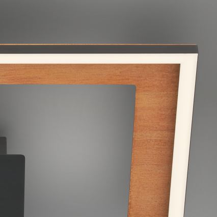 Brilo - Candelabro integrado LED com regulação FRAME 2xLED/11W/230V