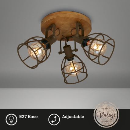 Brilo - Foco VINTAGE 3xE27/25W/230V