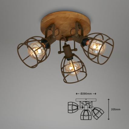 Brilo - Foco VINTAGE 3xE27/25W/230V