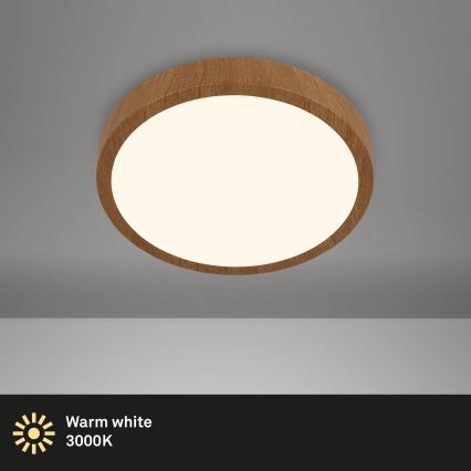 Brilo - Iluminação de teto LED RUNA LED/12W/230V