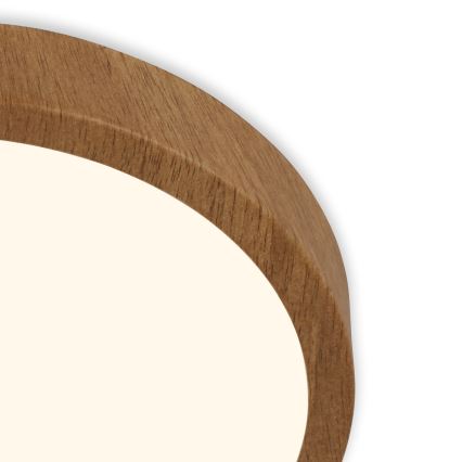 Brilo - Iluminação de teto LED RUNA LED/24W/230V