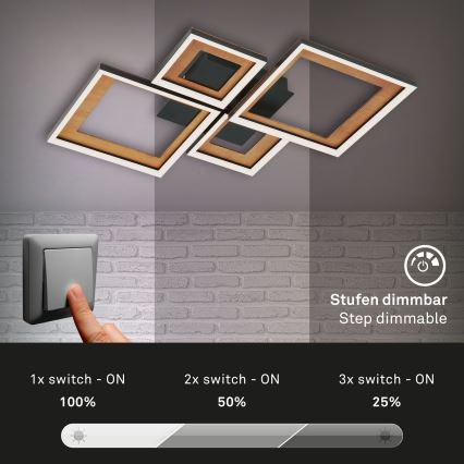 Brilo - Luminária de teto LED dimmerizável FRAME LED/38W/230V