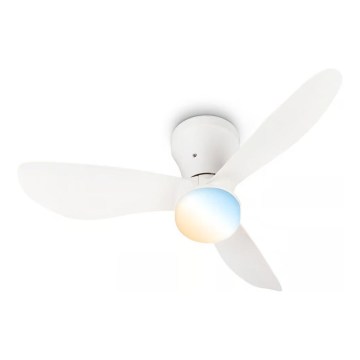 Brilo - Ventilador de teto LED regulável LUFITO LED/15W/230V 3000/4000/6000K branco + controlo remoto