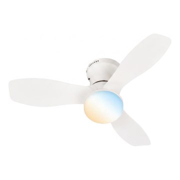 Brilo - Ventilador de teto LED regulável PAN LED/15W/230V 3000-6500K branco + controlo remoto