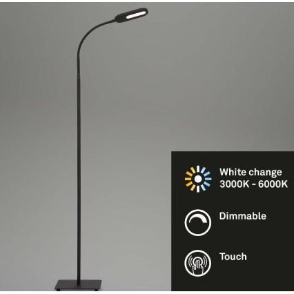 Briloner 1297-015 - Lâmpada de pé flexível LED regulável LED/6,6W/230V 3000K/4000K/6000K