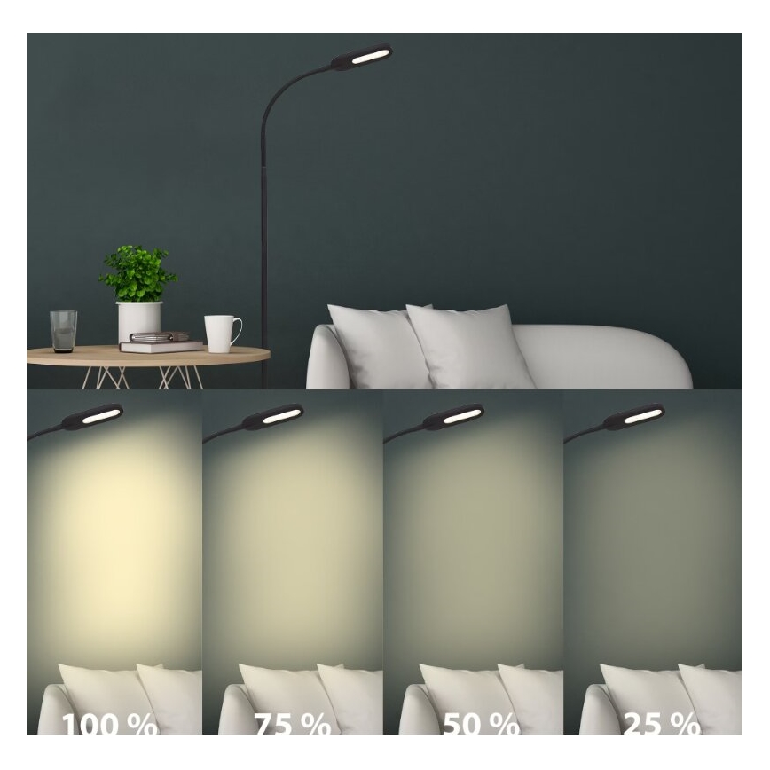 Briloner 1297-015 - Lâmpada de pé flexível LED regulável LED/6,6W/230V 3000K/4000K/6000K