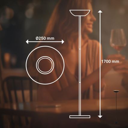 Briloner 1500015 - Candeeiro de pé LED dimerizável ESTATE LED/8W/5V 4000 mAh preto