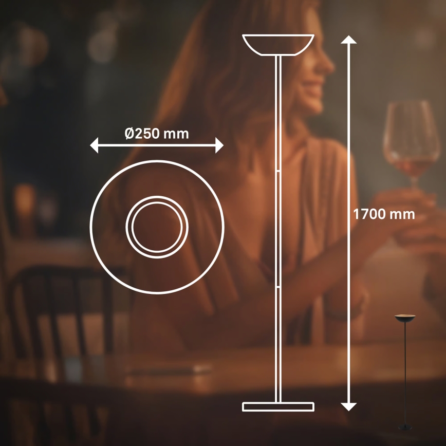 Briloner 1500015 - Candeeiro de pé LED dimerizável ESTATE LED/8W/5V 4000 mAh preto