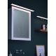 Briloner 2060-018 - Luz de espelho de casa de banho LED SPLASH LED/10W/230V IP23