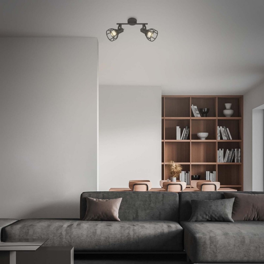 Briloner 2669-025 - Foco RETRO 2xE14/25W/230V