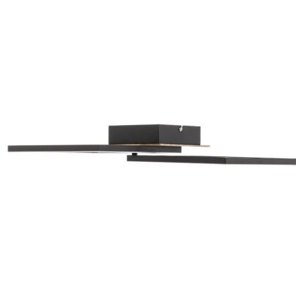 Briloner 3210-014 - Iluminação de teto LED com regulação FRAME 2xLED/11W/230V castanho