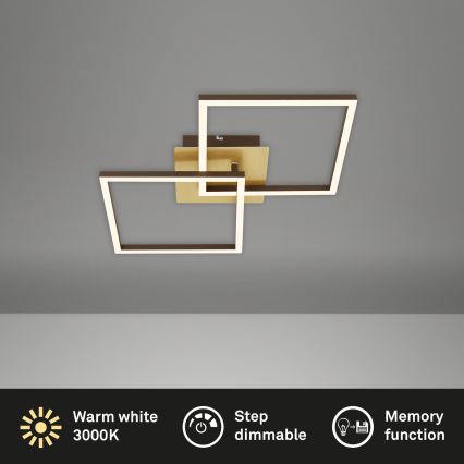 Briloner 3210-017 - Plafon LED dimmerizável FRAME 2xLED/11W/230V dourado