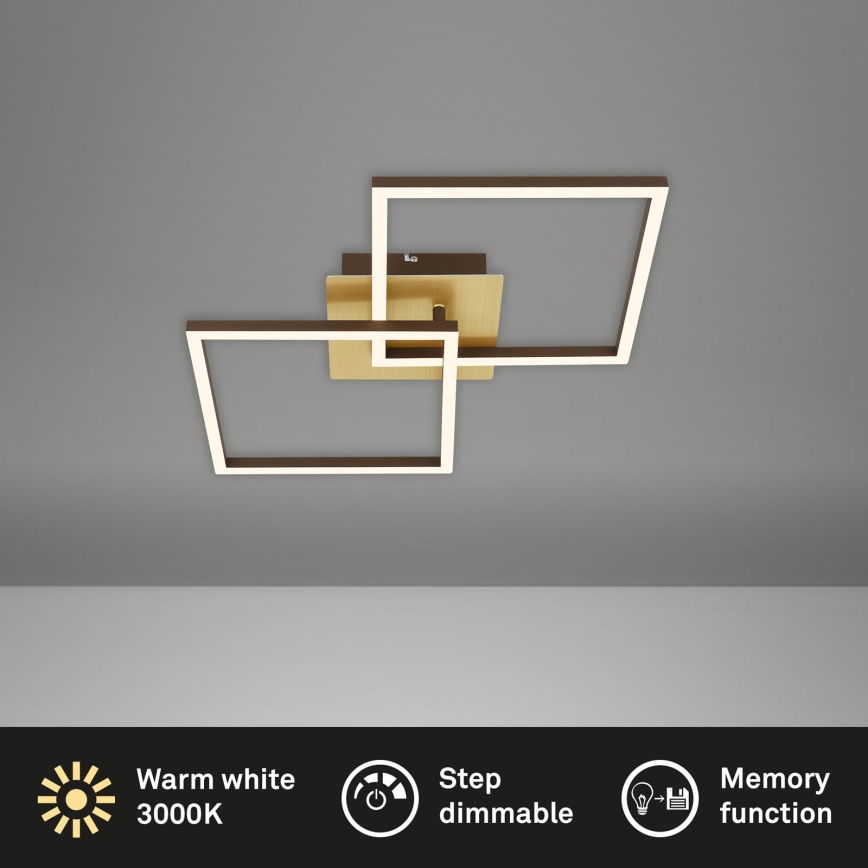 Briloner 3210-017 - Plafon LED dimmerizável FRAME 2xLED/11W/230V dourado