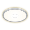 Briloner 3391-014 - Iluminação de teto LED FREE LED/18W/230V d. 29 cm