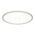 Briloner 3392-014 - Iluminação de teto LED FREE LED/22W/230V d. 42 cm