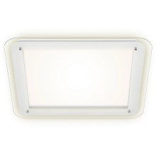 Briloner 3397-016 - Iluminação de teto LED FREE LED/22W/230V