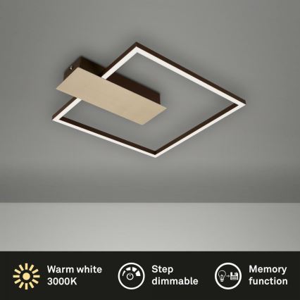 Briloner 3544-017 - Iluminação de teto LED com regulação NICO LED/12W/230V dourado