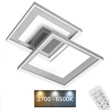 Briloner 3567-018 - Iluminação de teto LED com regulação FRAME LED/25W/230V 2700-6500K + comando
