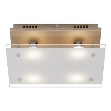 Briloner 3586-047 - Iluminação de teto LED SMART GOLD 4xGU10/4W/230V