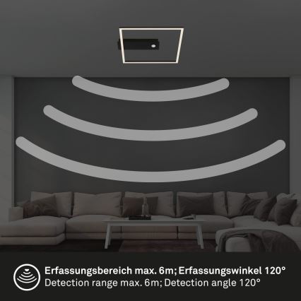 Briloner 3770-015 - Candeeiro de tecto LED com sensor de movimento e de crepúsculo FRAME LED/14W/230V 3000K 30x32 cm preto