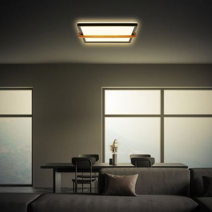 Briloner 3845015 - Candeeiro de teto LED/18W/230V 29,5x31,5 cm