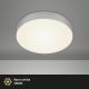 Briloner 7065-014 - Iluminação de teto LED FLAME LED/16W/230V prateado