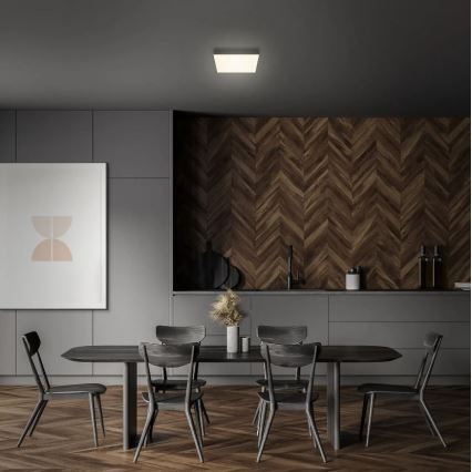 Briloner 7070-015 - Iluminação de teto LED FLAME LED/16W/230V preto