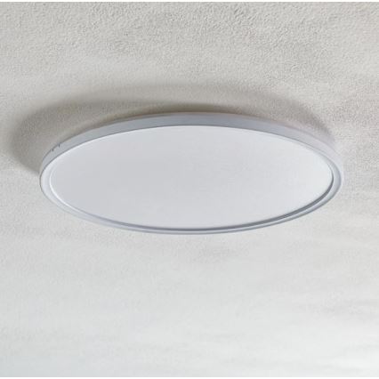 Briloner 7094-416 - Luminária de teto LED RGBW dimmerizável SLIM LED/22W/230V + controlo remoto