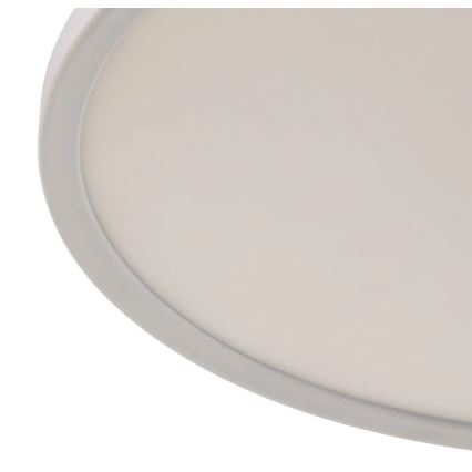 Briloner 7094-416 - Luminária de teto LED RGBW dimmerizável SLIM LED/22W/230V + controlo remoto