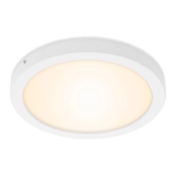Briloner 7141-016 - Iluminação de teto LED FIRE LED/21W/230V