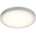 Briloner 7143-014 - Iluminação de teto LED FIRE LED/24,5W/230V 3000K