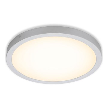 Briloner 7143-014 - Iluminação de teto LED FIRE LED/24,5W/230V 3000K