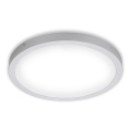 Briloner 7143-414 - Iluminação de teto LED FIRE LED/24,5W/230V 4000K