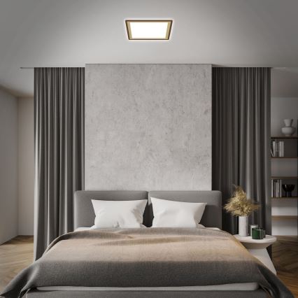 Briloner 7459-417 - Luminária de teto LED regulável DECO LED/24W/230V 2700-6500K + controlo remoto
