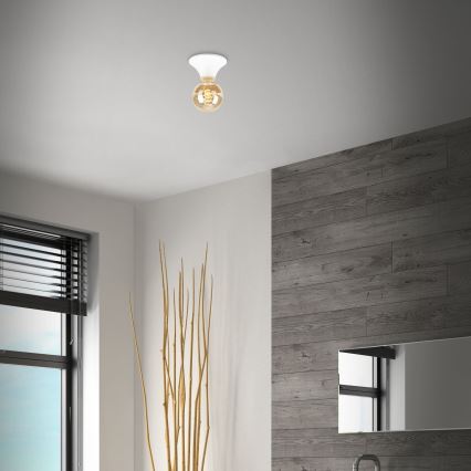 Briloner - Candeeiro de teto para casa de banho 1xE27/10W/230V IP44 branco