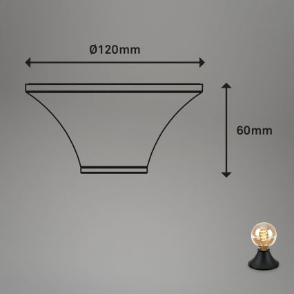 Briloner - Candeeiro de teto para casa de banho 1xE27/10W/230V IP44 preto