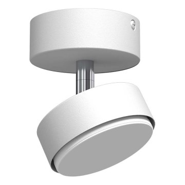 Brosline - Candeeiro de tecto orientável 1xGX53/9W/230V branco