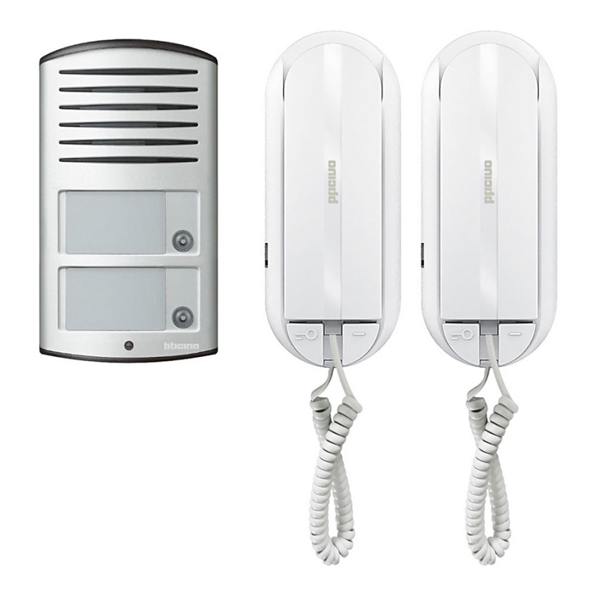 Bticino 366821 - Porta para 2 apartamentos + painel de entrada LINEA 2000