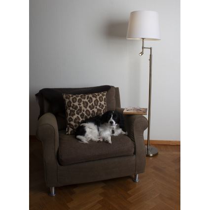 ByRydens - Candeeiro de pé LED ORLANDO 1xE27/5W/230V + LED/3W branco/bronz Ø 36 cm